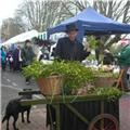 Christmas Market Dawlish 2011